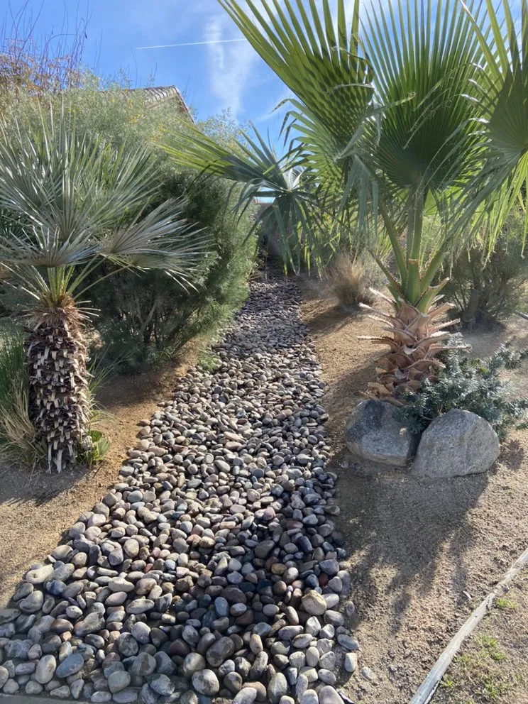 Custom yard maintenance in Coachella, CA - Purple Leaf Landscape
