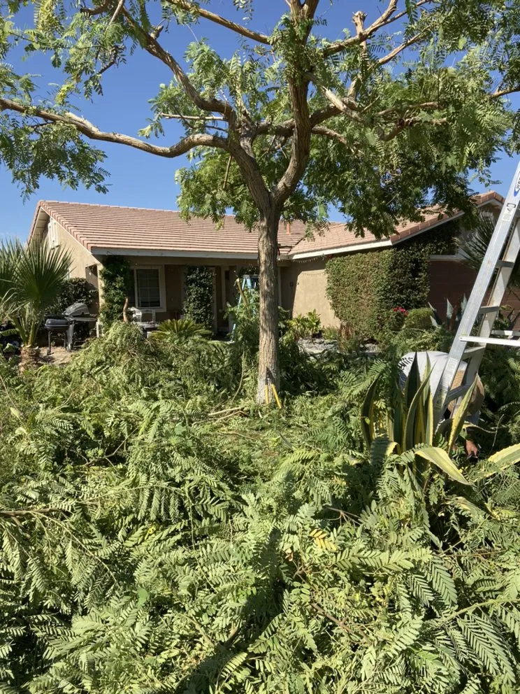 Local landscaping services experts serving Coachella, CA - Purple Leaf Landscape