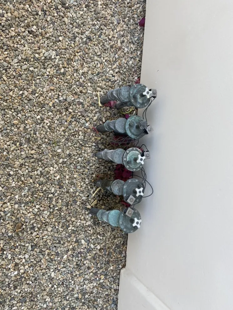 Professional residential landscaping for residential properties in Coachella, CA by Purple Leaf Landscape