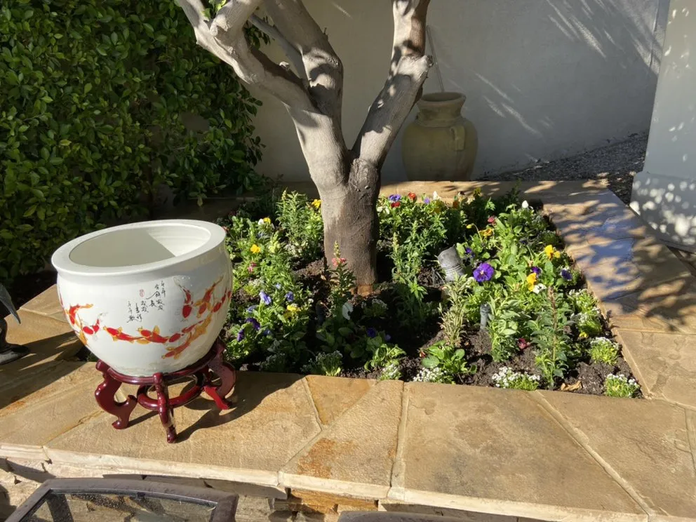 Expert lawn mowing service for beautiful yards in Coachella, CA by Purple Leaf Landscape