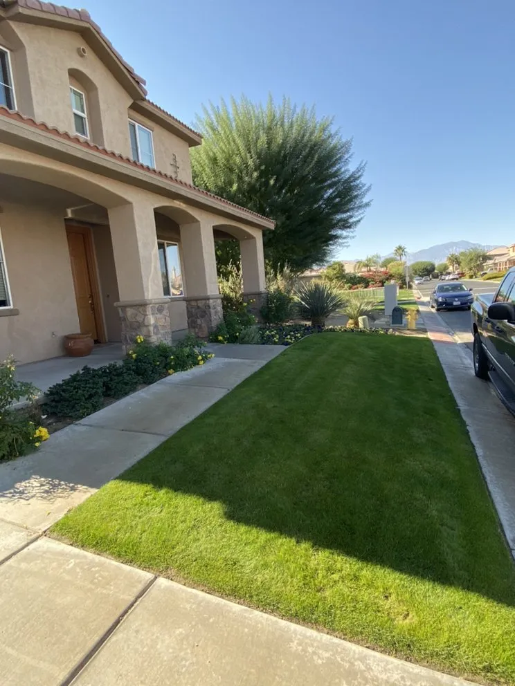 Professional outdoor landscaping experts serving Coachella, CA - Purple Leaf Landscape
