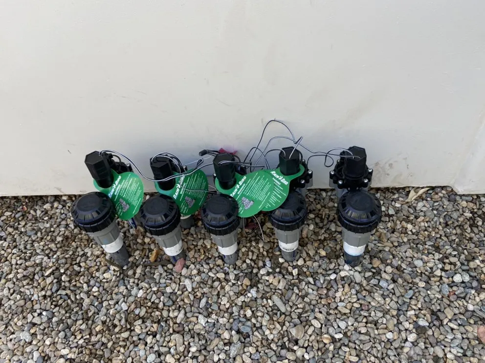 Top-rated residential landscaping experts serving Coachella, CA - Purple Leaf Landscape