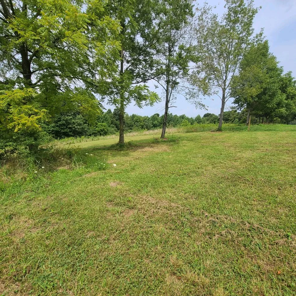 Affordable lawn care service experts serving Russell Springs, KY - Purple Monkey Lawn Care