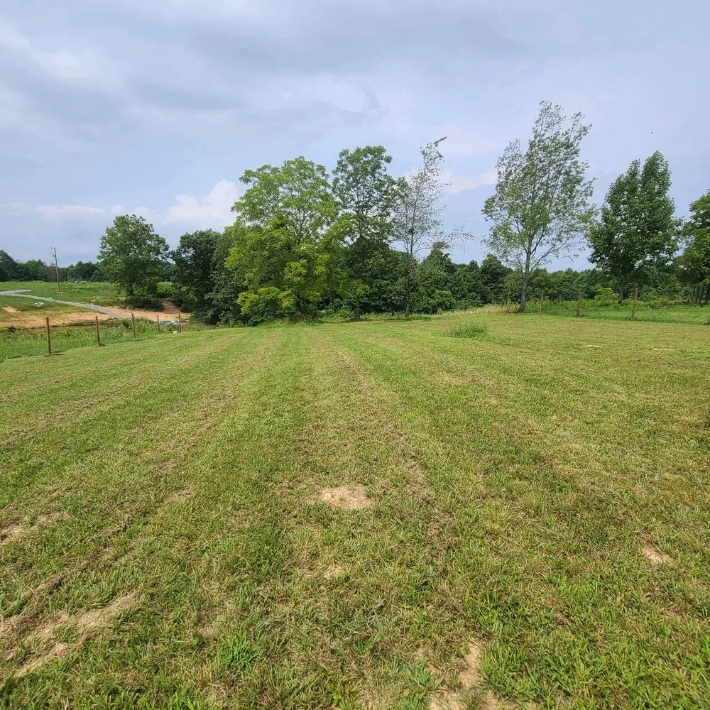 Professional landscaping services for homes in Russell Springs, KY by Purple Monkey Lawn Care