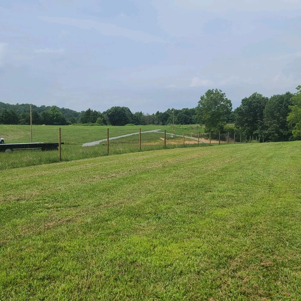 Affordable lawn care service experts serving Russell Springs, KY - Purple Monkey Lawn Care