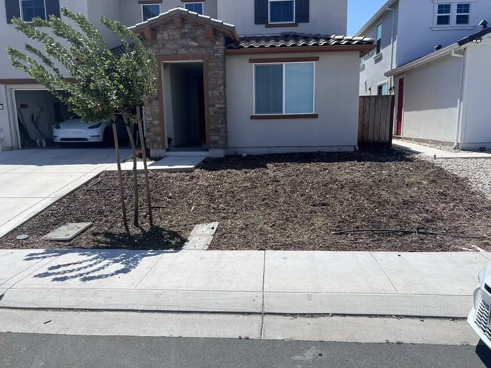 Reliable yard maintenance for homes across Brentwood, CA - Purple Oak Landscape