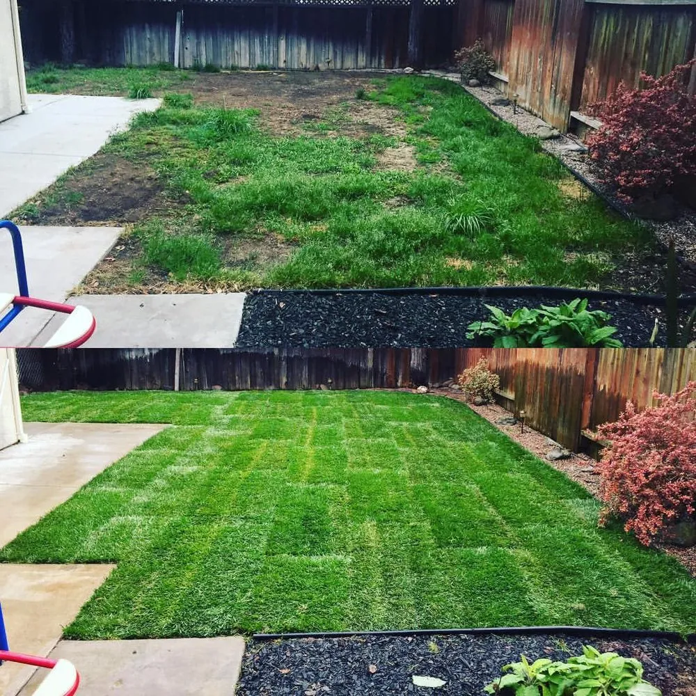 Reliable yard cleanup service for residential properties across Brentwood, CA - Purple Oak Landscape