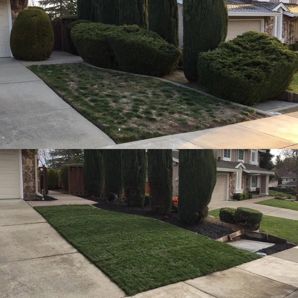 Custom landscape design near you in Brentwood, CA by Purple Oak Landscape