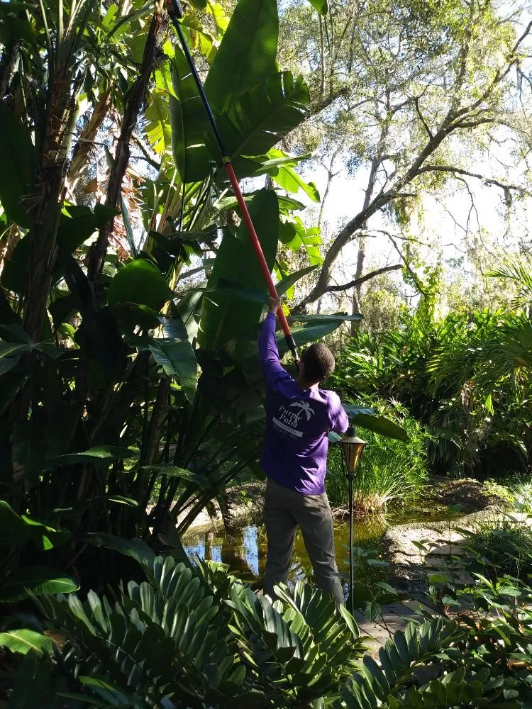 Professional outdoor landscaping near you across Sarasota, FL - Purple Palm Landscaping