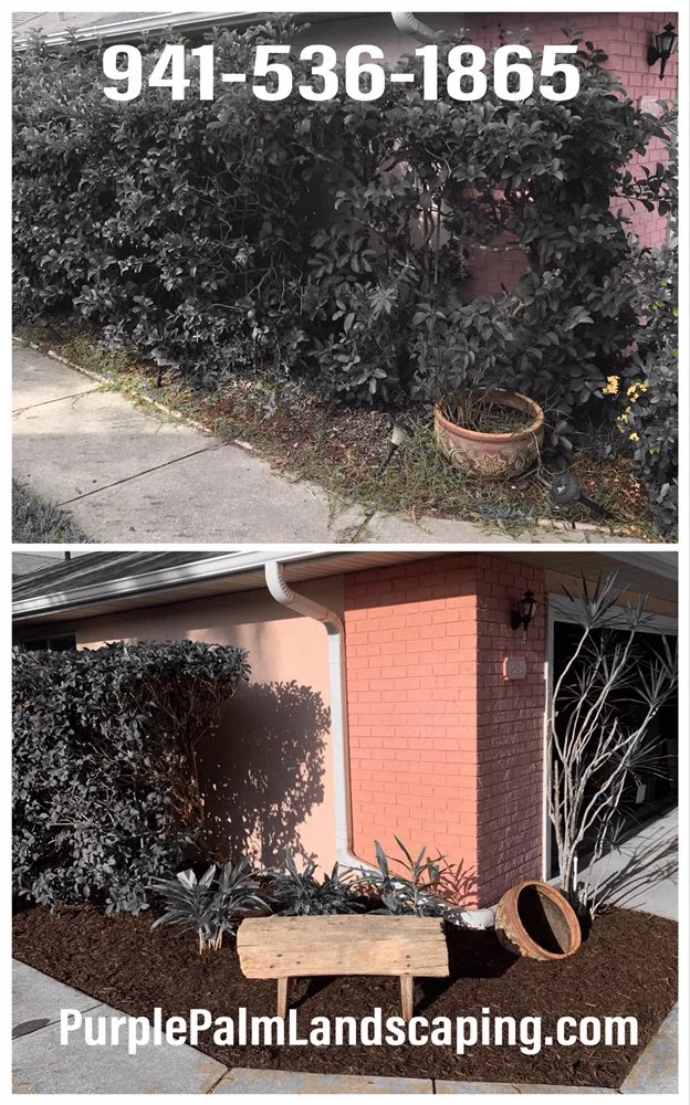 Top-rated residential landscaping for outdoor upgrades across Sarasota, FL - Purple Palm Landscaping