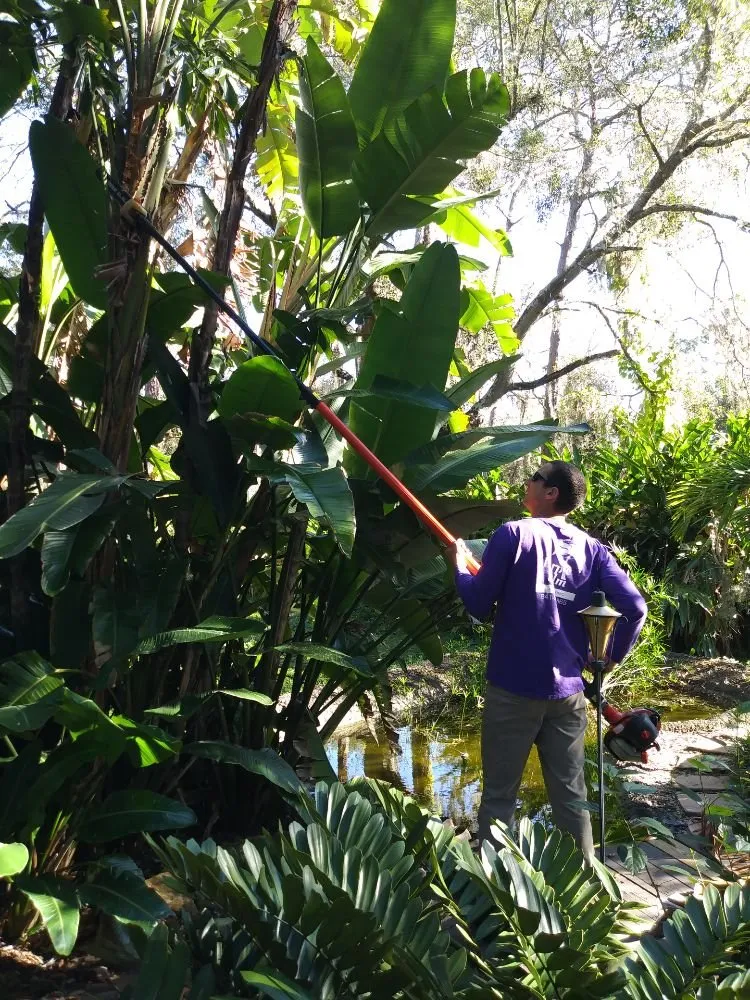 Professional landscape design for beautiful yards across Sarasota, FL - Purple Palm Landscaping
