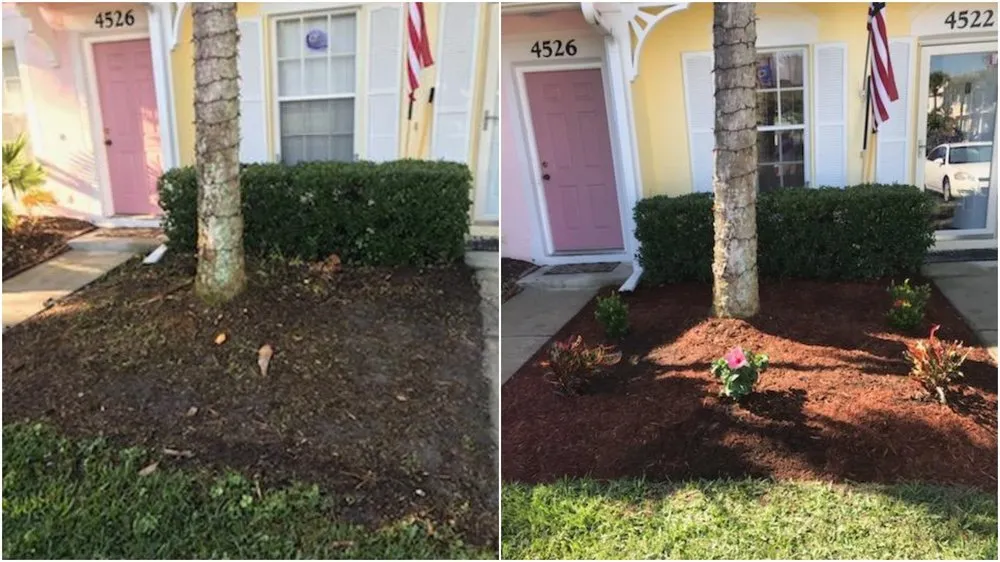 Top-rated garden landscaping in Sarasota, FL - Purple Palm Landscaping