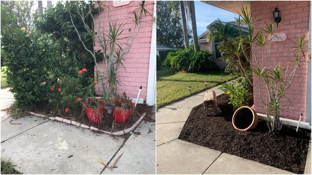 Reliable landscaping services near you in Sarasota, FL by Purple Palm Landscaping