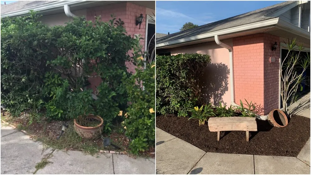 Reliable outdoor landscaping experts serving Sarasota, FL - Purple Palm Landscaping