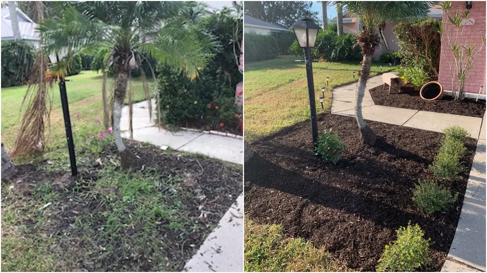 Top-rated outdoor landscaping in Sarasota, FL - Purple Palm Landscaping