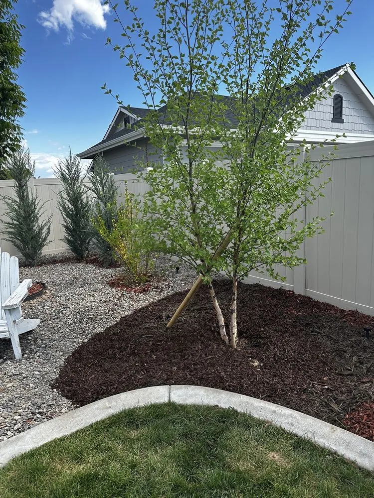 Professional yard cleanup service in Caldwell, ID - Purple Sage Property Maintenance