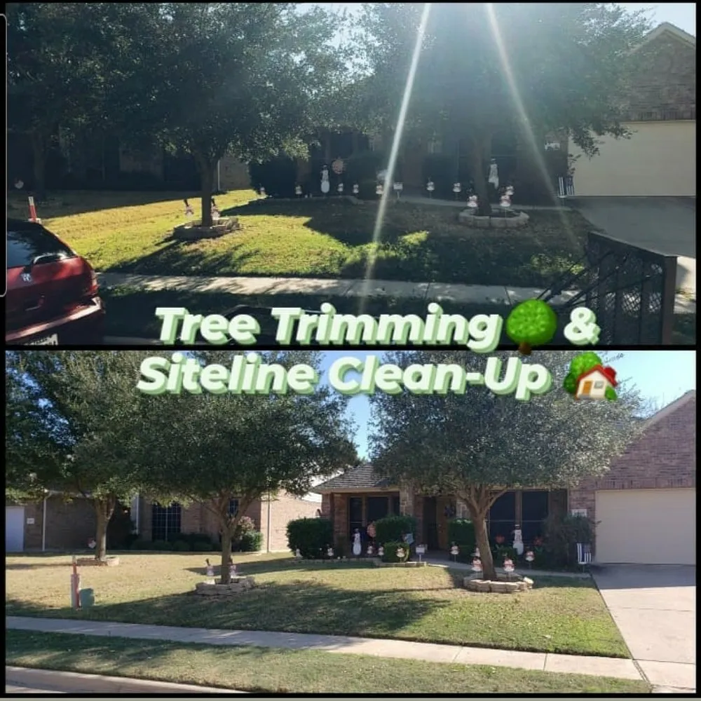 Reliable outdoor landscaping for year-round maintenance across Arlington, TX - Purpose Of The Lionz Den Services Lawncare & More