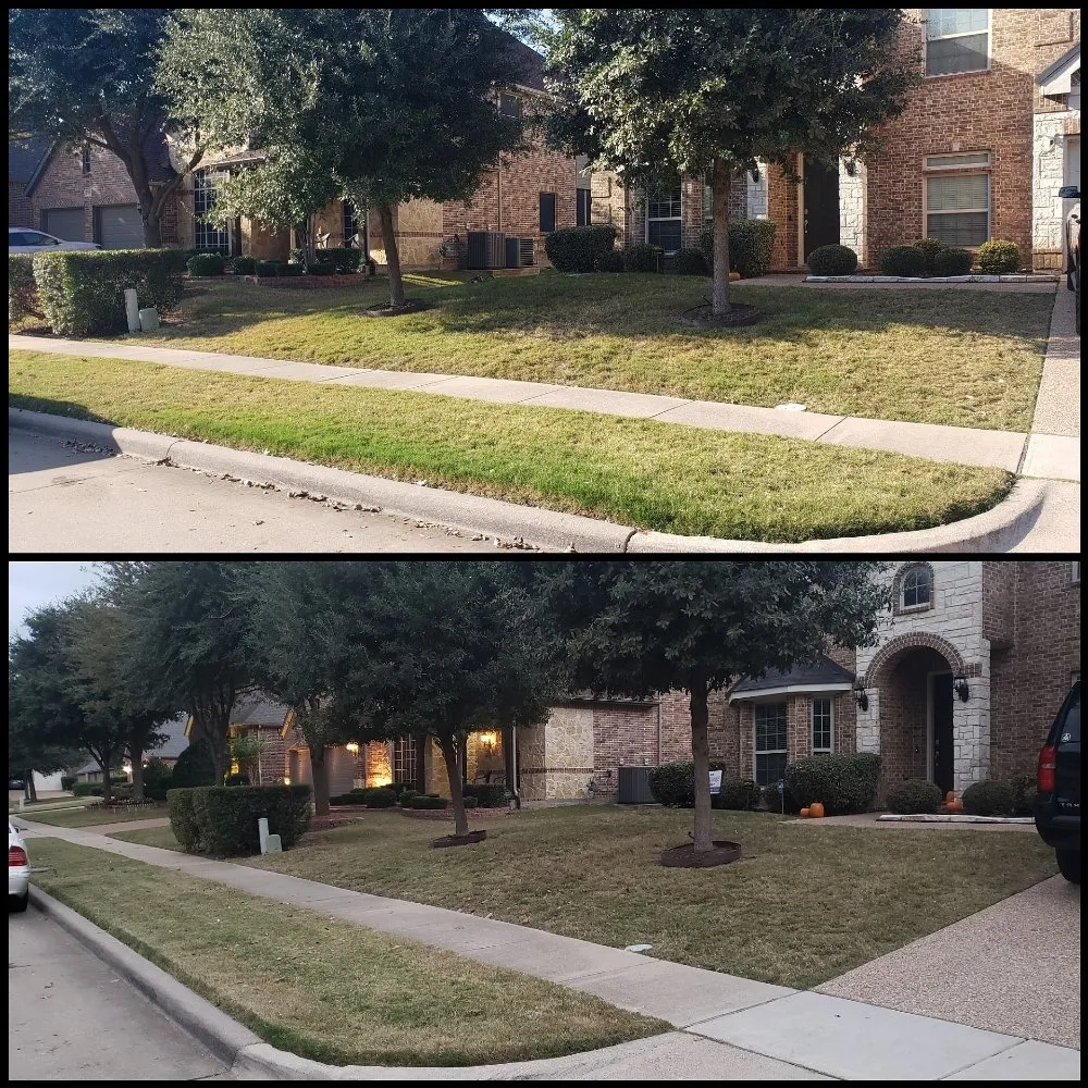 Trusted yard cleanup service in Arlington, TX - Purpose Of The Lionz Den Services Lawncare & More