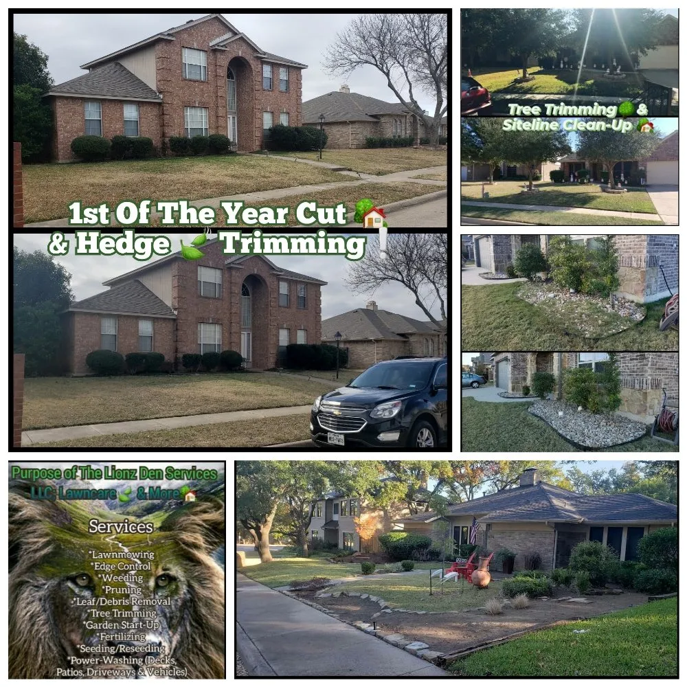 Local landscape installation experts serving Arlington, TX - Purpose Of The Lionz Den Services Lawncare & More