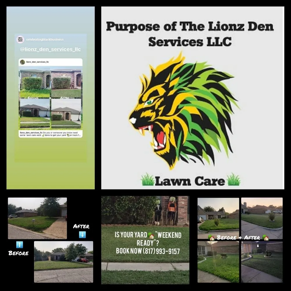 Affordable garden landscaping experts serving Arlington, TX - Purpose Of The Lionz Den Services Lawncare & More