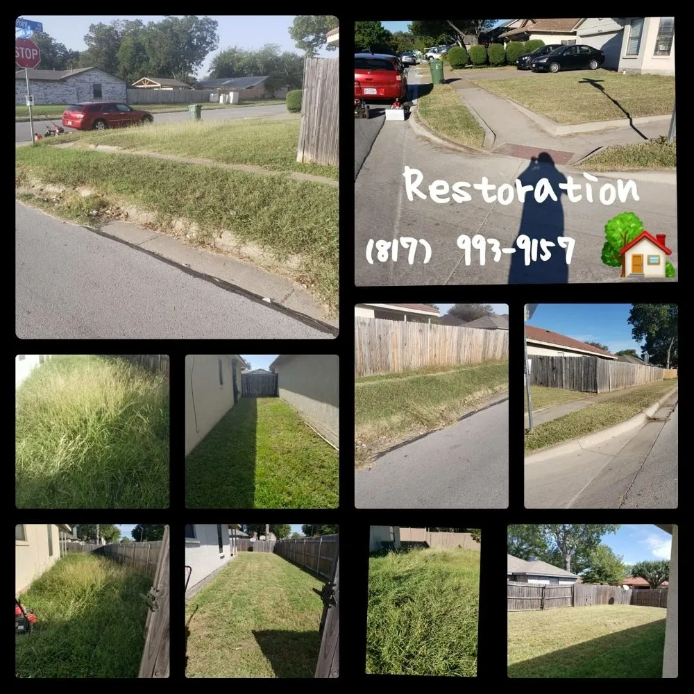 Professional yard cleanup service experts serving Arlington, TX - Purpose Of The Lionz Den Services Lawncare & More