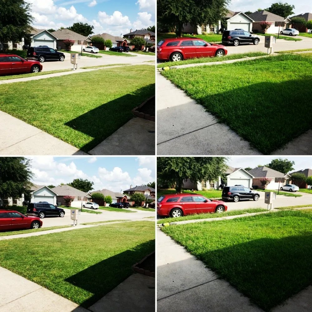 Expert yard maintenance in Arlington, TX by Purpose Of The Lionz Den Services Lawncare & More