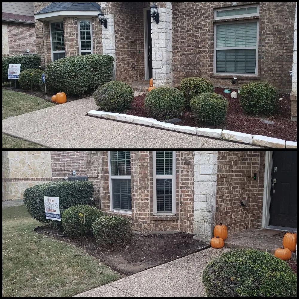 Custom yard maintenance for residential properties across Arlington, TX - Purpose Of The Lionz Den Services Lawncare & More