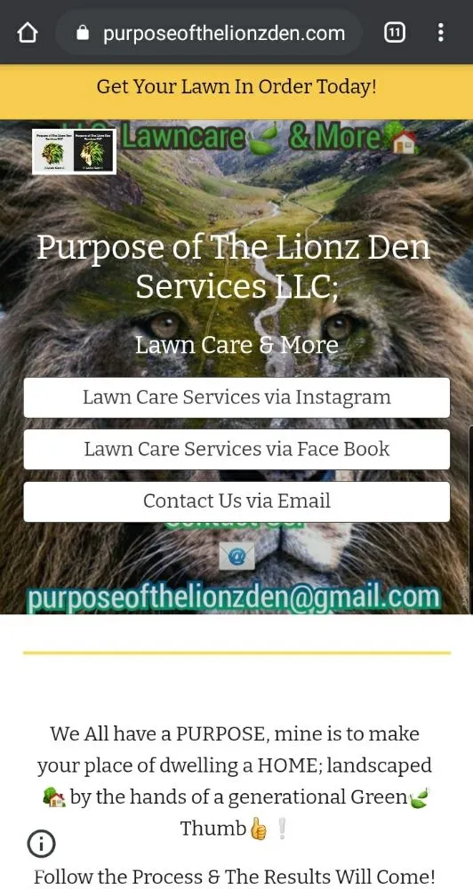 Reliable yard maintenance in Arlington, TX - Purpose Of The Lionz Den Services Lawncare & More