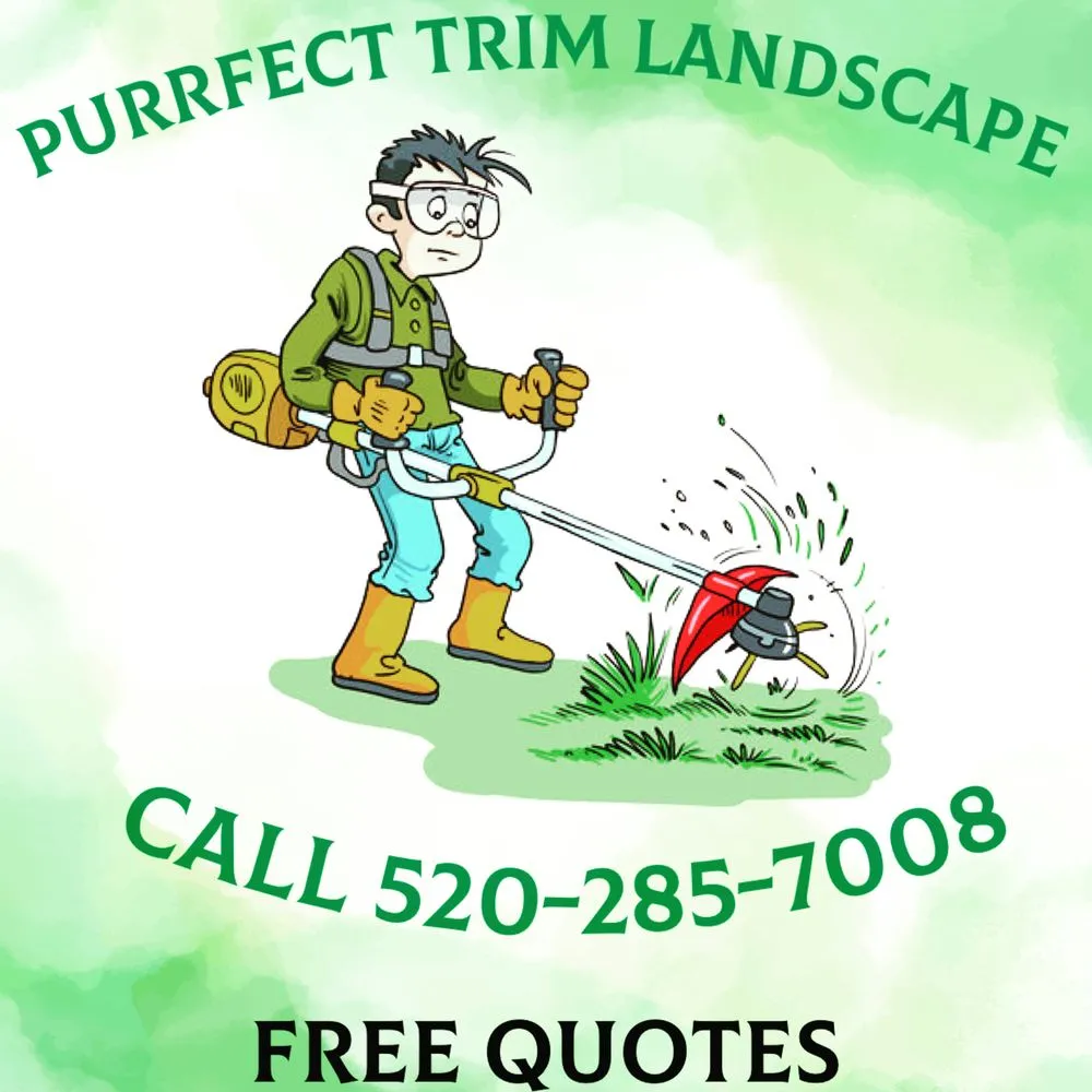 Professional residential landscaping for year-round maintenance in Nogales, AZ by Purrfect Trim Landscape