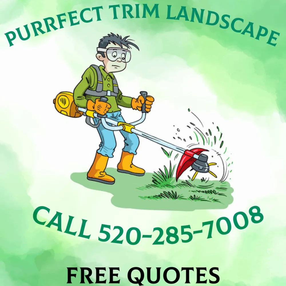 Top-rated landscape installation experts serving Nogales, AZ - Purrfect Trim Landscape