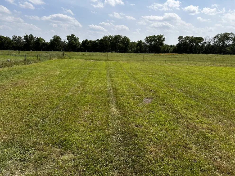 Expert yard cleanup service in McGregor, TX by Pursley’s Lawn and Landscape