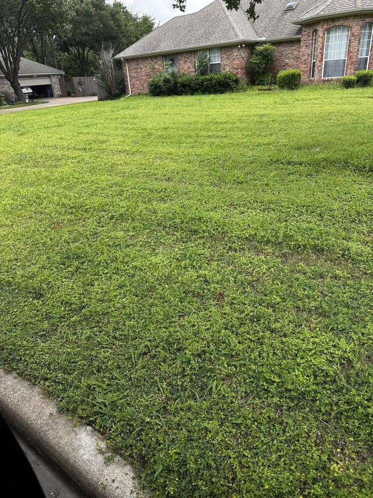 Trusted yard maintenance for outdoor upgrades in McGregor, TX by Pursley’s Lawn and Landscape