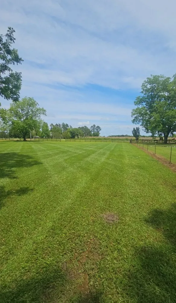 Custom landscape installation in Ty Ty, GA - Purvis Landscaping