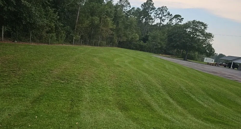 Expert yard cleanup service in Ty Ty, GA by Purvis Landscaping