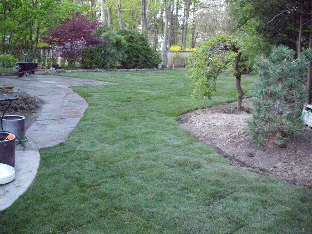 Affordable landscape installation in Albany, NY by Pusatere Landscapes