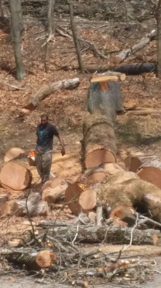 Reliable residential landscaping near you across Ingomar, PA - Pusateri Brothers Tree & Landscaping Service