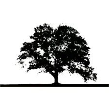 Professional landscape design in Ingomar, PA by Pusateri Brothers Tree & Landscaping Service