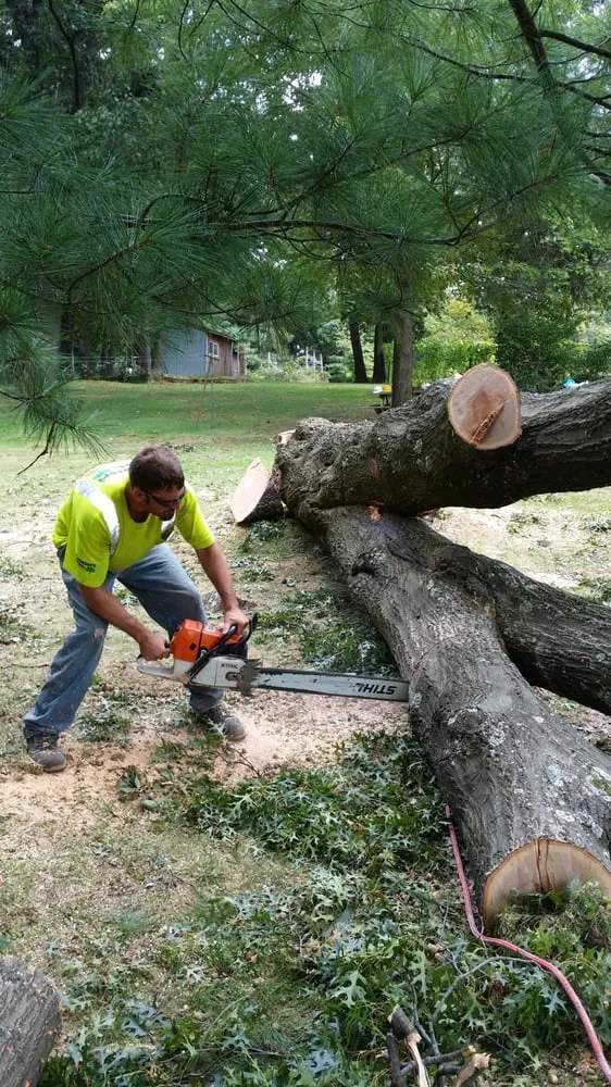 Trusted yard cleanup service in Ingomar, PA by Pusateri Brothers Tree & Landscaping Service