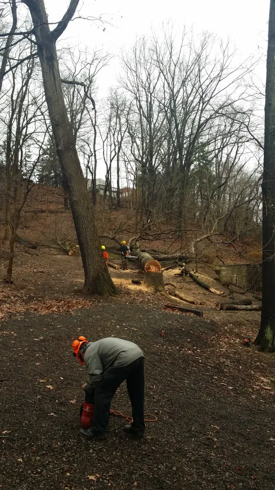 Local garden landscaping experts serving Ingomar, PA - Pusateri Brothers Tree & Landscaping Service