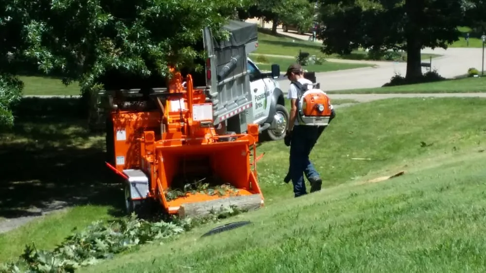 Local landscaping services in Ingomar, PA - Pusateri Brothers Tree & Landscaping Service
