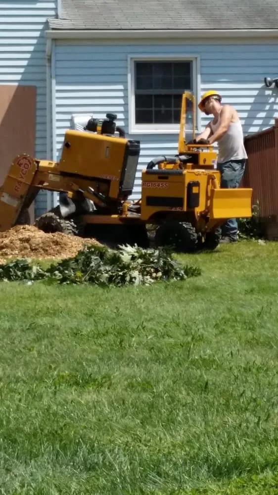 Custom landscape installation in Ingomar, PA by Pusateri Brothers Tree & Landscaping Service