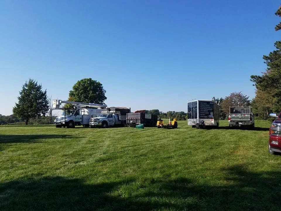 Custom residential landscaping for year-round maintenance across Ingomar, PA - Pusateri Brothers Tree & Landscaping Service