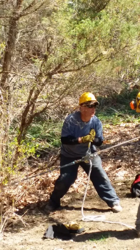 Professional landscape installation in Ingomar, PA by Pusateri Brothers Tree & Landscaping Service
