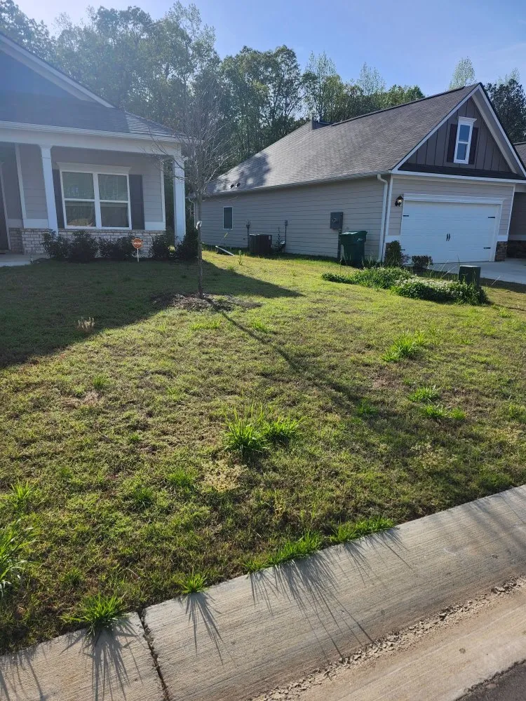 Custom yard cleanup service experts serving Pell City, AL - Push Cut Lawn Care