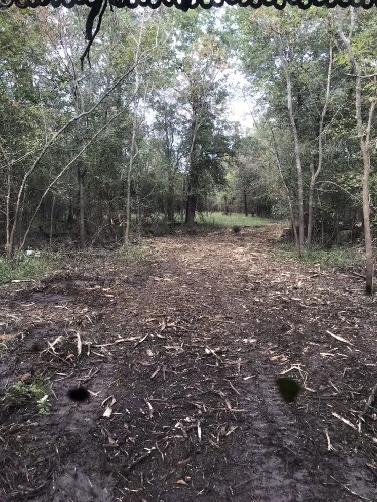 Trusted lawn care service in Skiatook, OK by PUSH Land Improvements