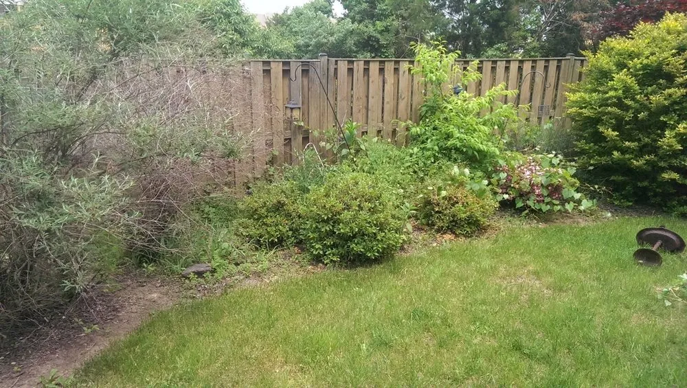 Affordable residential landscaping experts serving Lovettsville, VA - Push Mow Loudoun