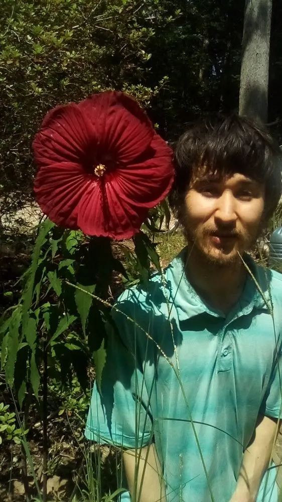 Custom yard maintenance for residential properties in Wake Forest, NC by Push Mower