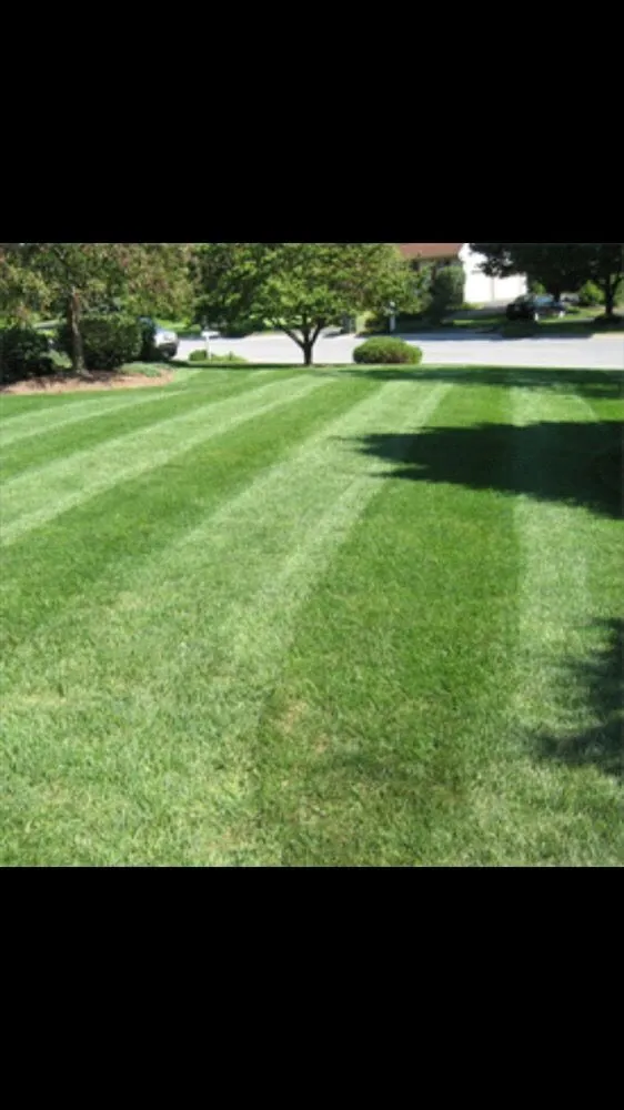 Trusted residential landscaping in Columbus, IN - Pushing Perfection 812 Lawn Care