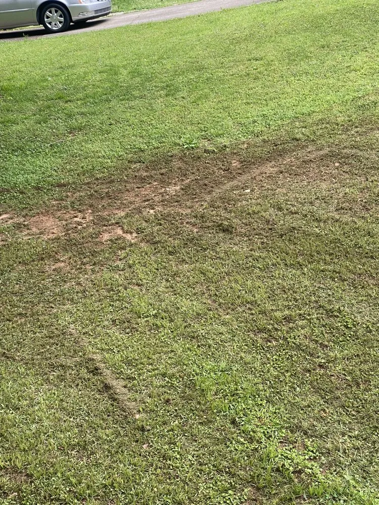 Professional landscaping services near you across Dallas, TX - Put God First Landscaping