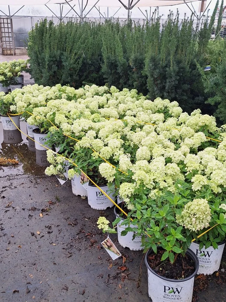 Trusted lawn care service for residential properties in Dallas, TX by Put God First Landscaping